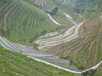 Les rizières de Ping'An, Chine